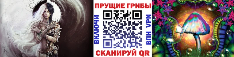 Галлюциногенные грибы мухоморы  купить  сайты  Канаш 